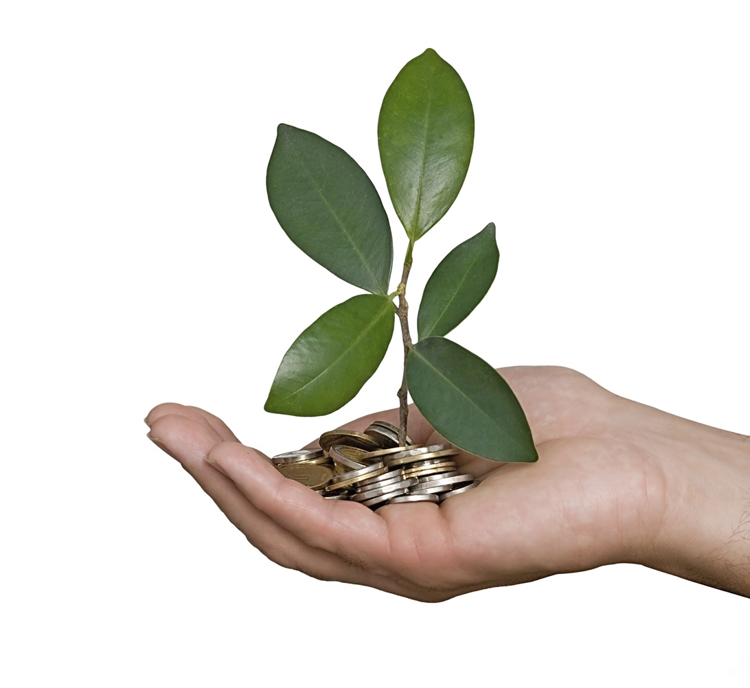 En hand som håller mynt med en liten grön planta som växer ur dem, vilket illustrerar hållbar finansiering.